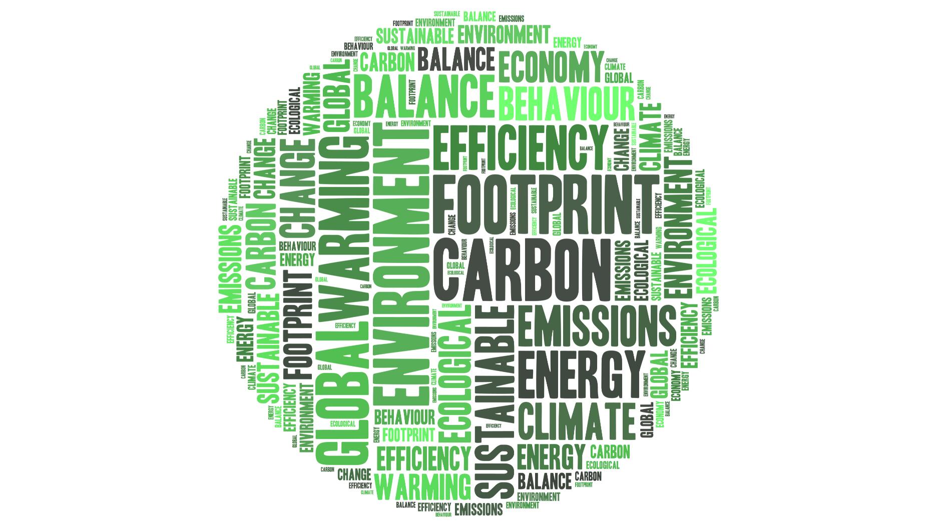 20230105_FTC Green Guides.jpg