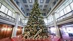 Macy’s Great Tree Chicago  