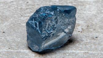 20210406_Petra-blue.jpg