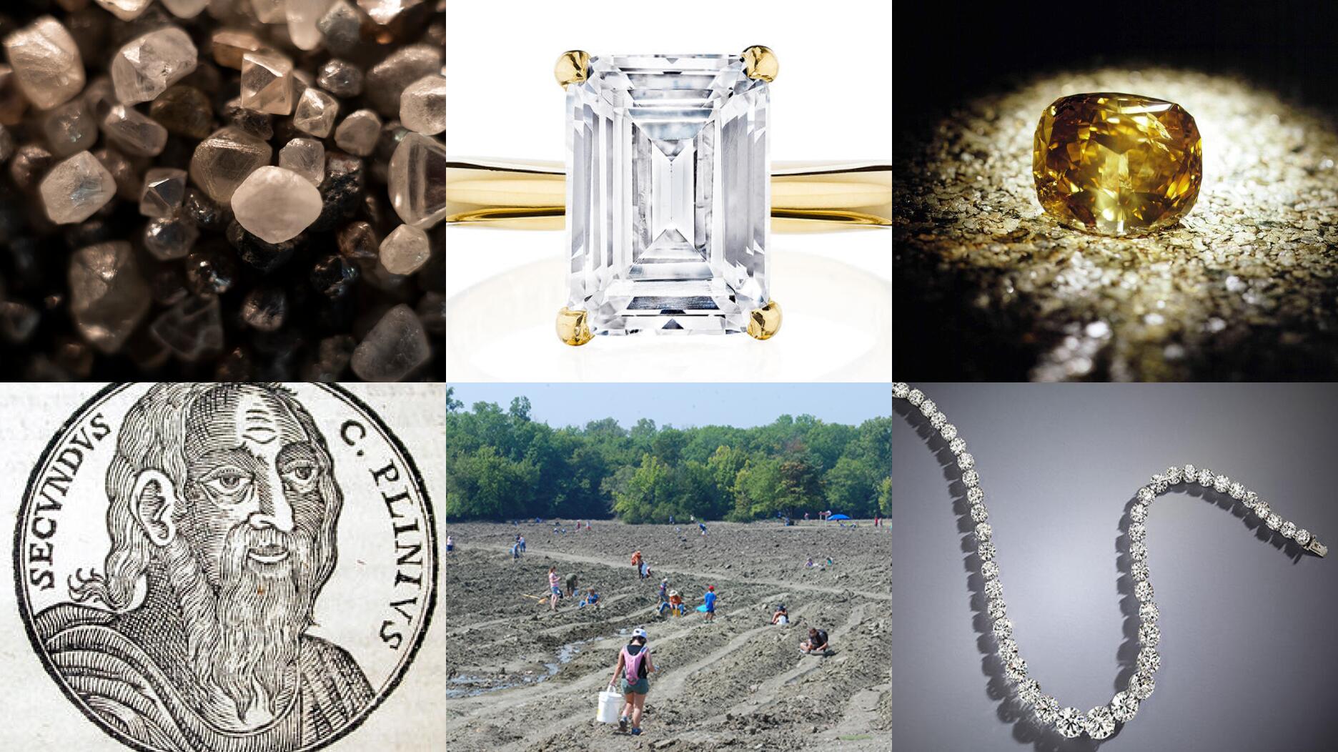 20210421_Quiz header.jpg