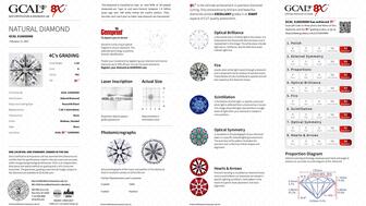 20210415_GCAL report inside.jpg