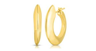 20201102-RobertoCoin-hoops.jpg