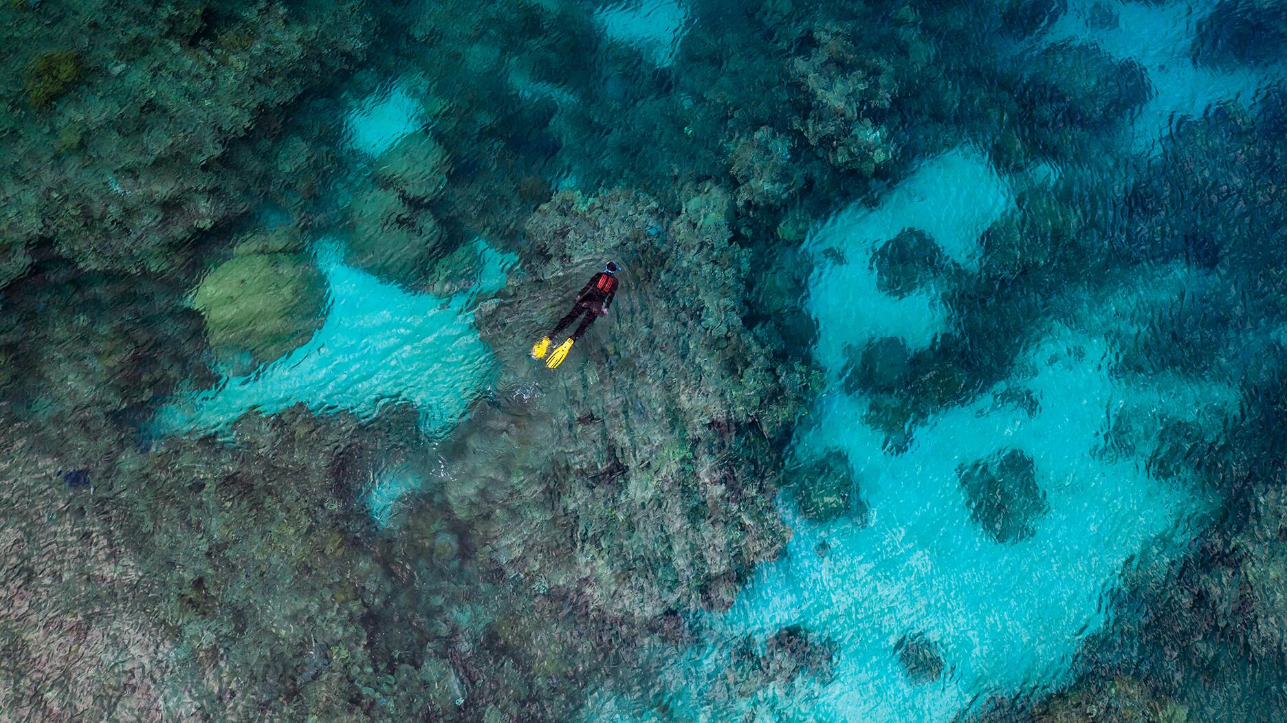 20210609_Rolex oceans documentary header.jpg