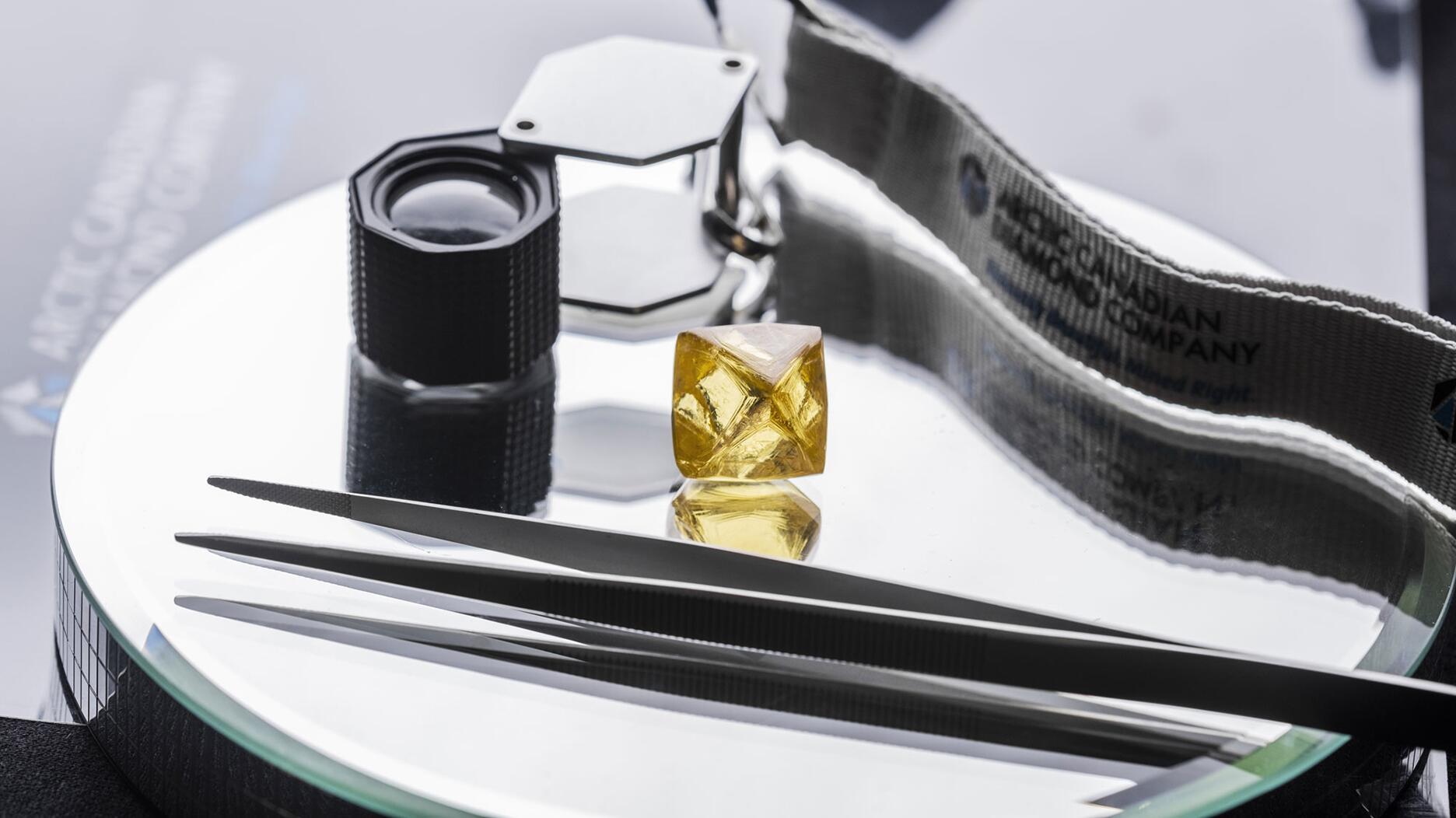 20221004_Arctic Canadian yellow.jpg