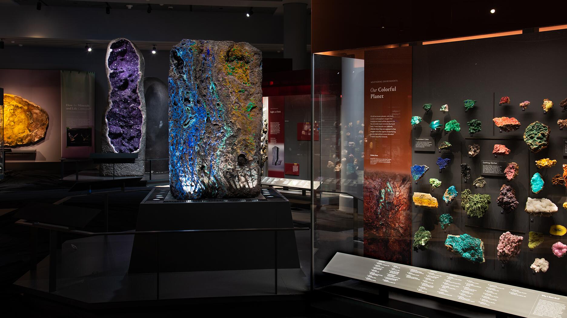 20210510_AMNH header.jpg