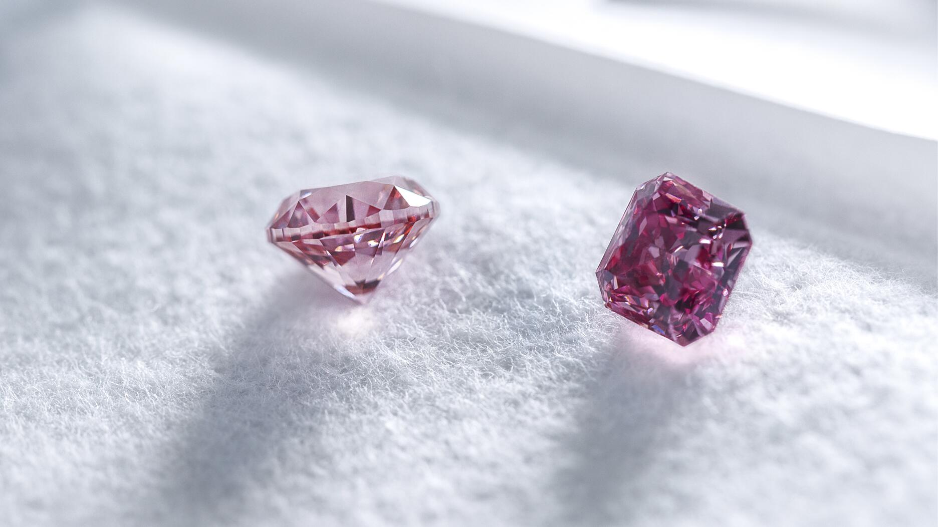 20230124_Tiffany Argyle Pinks NEW.jpg