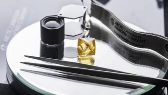 20221004_Arctic Canadian yellow.jpg