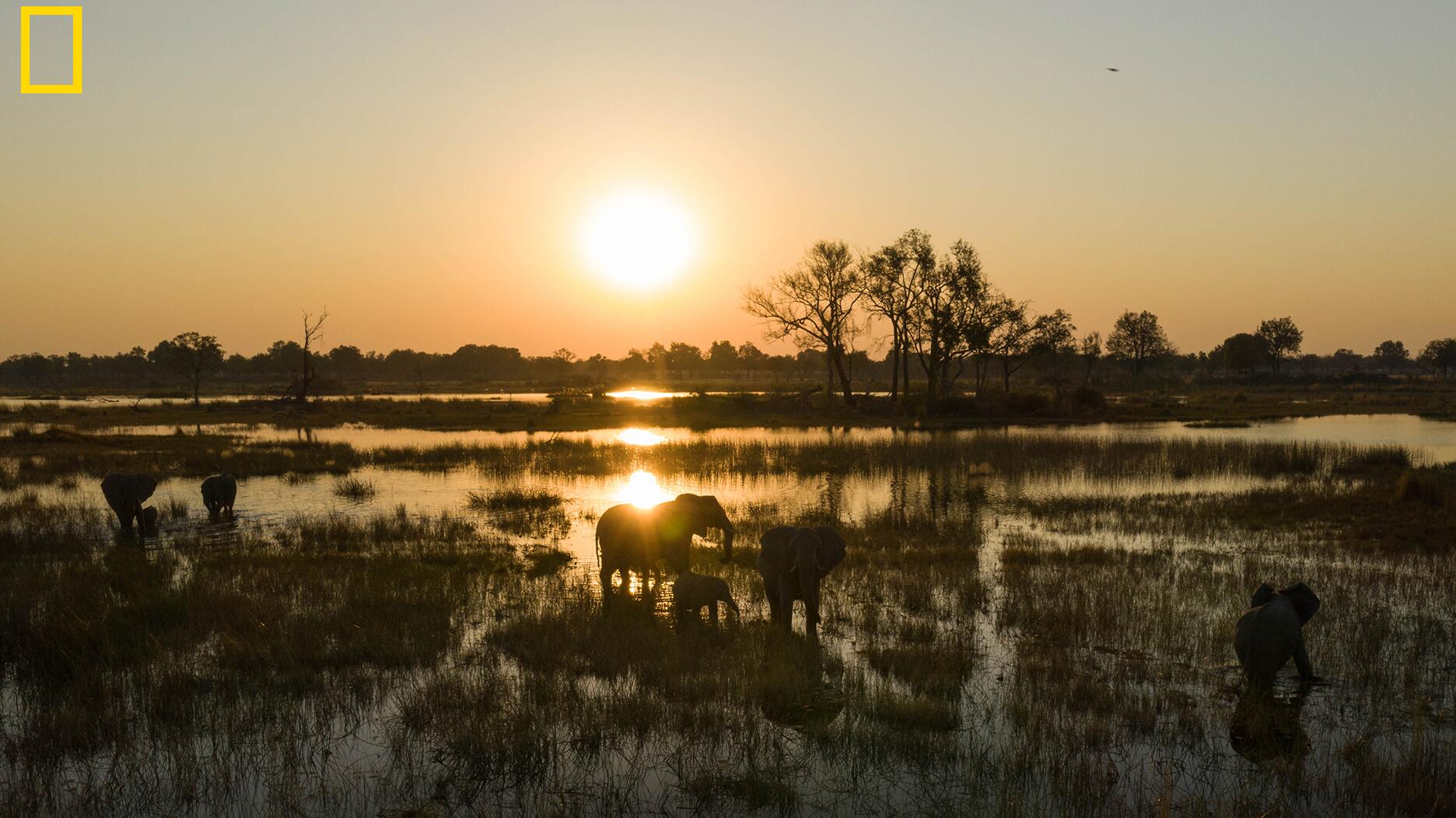 20210826_De Beers Nat Geo header.jpg