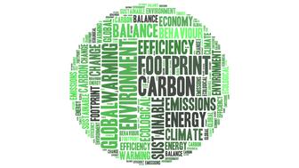 20230105_FTC Green Guides.jpg