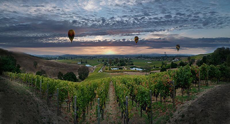 Padis Vineyards, located in the heart of California’s Napa Valley, is owned by jewelers Steve and Judy Padis. 20190805_Padis_Winery.jpg