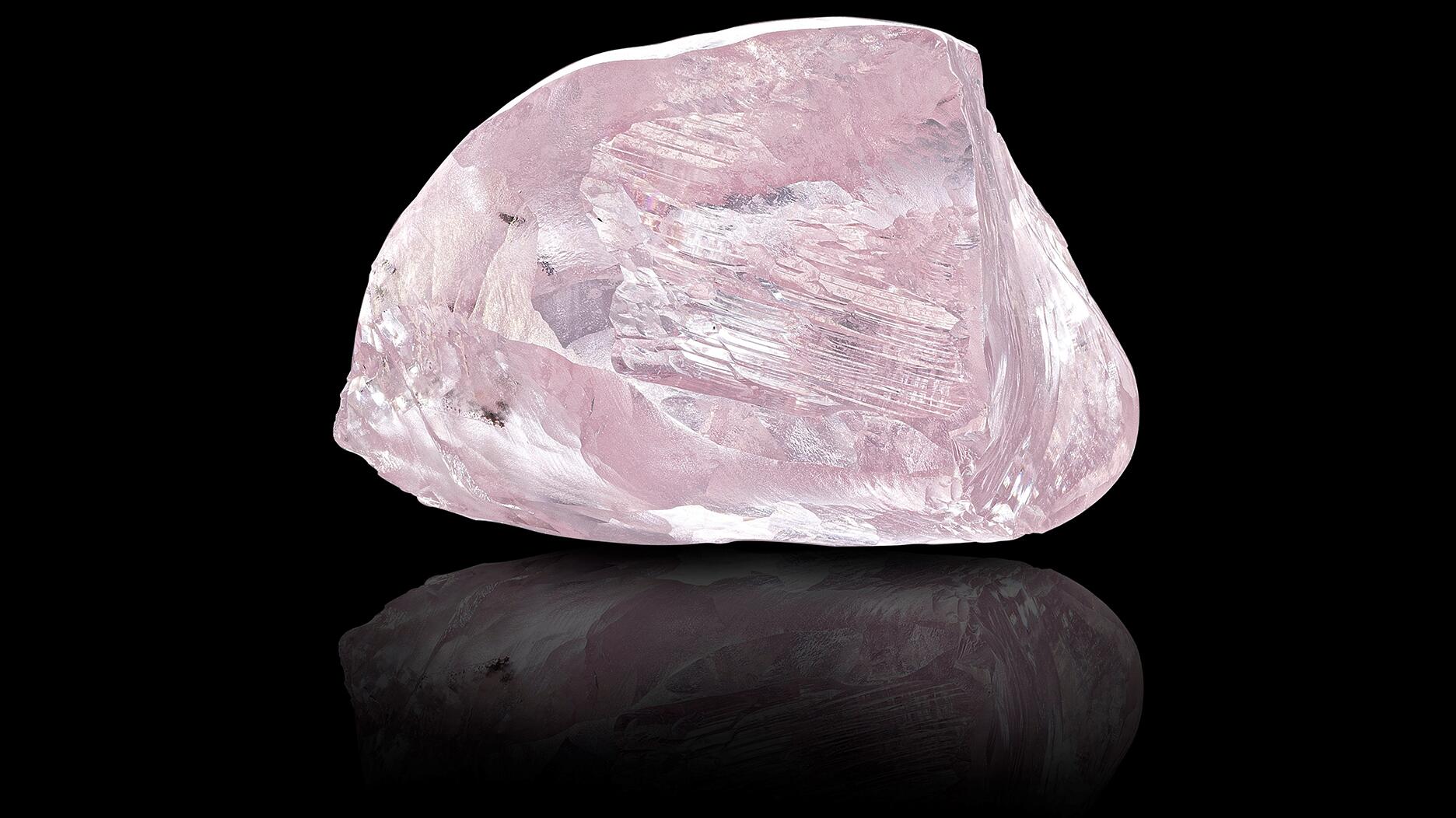 20210629_Pink Palesa NEW.jpg