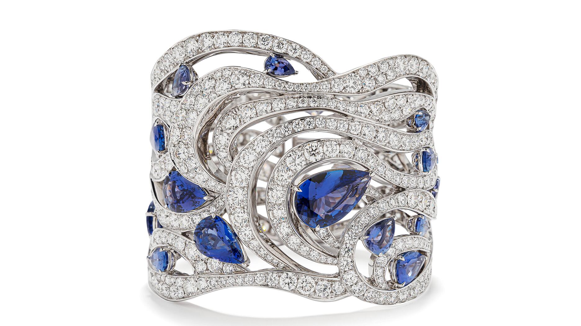 20230203_POTW Gismondi 1754.jpg