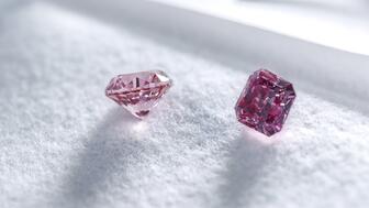 20230124_Tiffany Argyle Pinks NEW.jpg