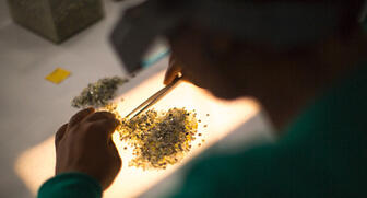 2017_Diamond-sorting-De-Beers.jpg