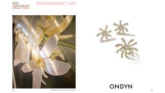 20221128_Ondyn spread.jpg